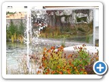 piscine naturelle 3